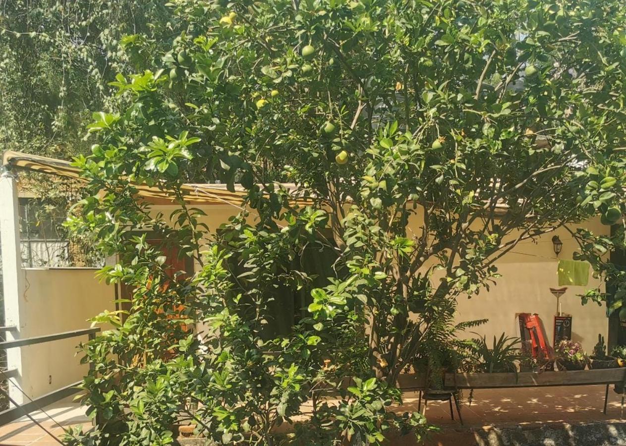 Casa Momotus Διαμέρισμα Tepoztlan Εξωτερικό φωτογραφία